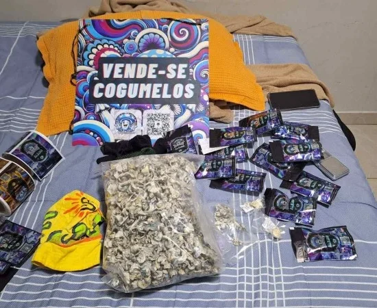 Tráfico de cogumelos alucinógenos é alvo da polícia e mira…