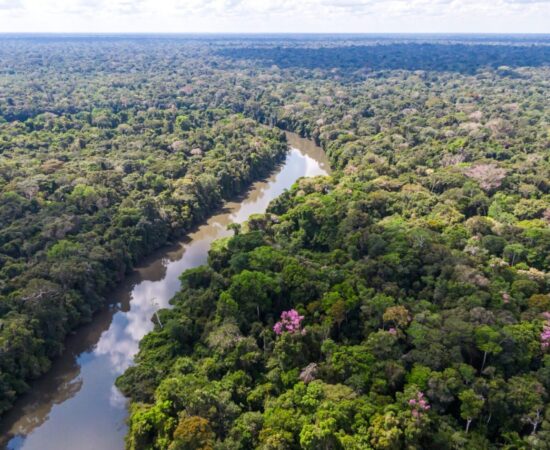 Deputados aprovam recursos para fortalecer gestão de recursos hídricos e ações climáticas em RO