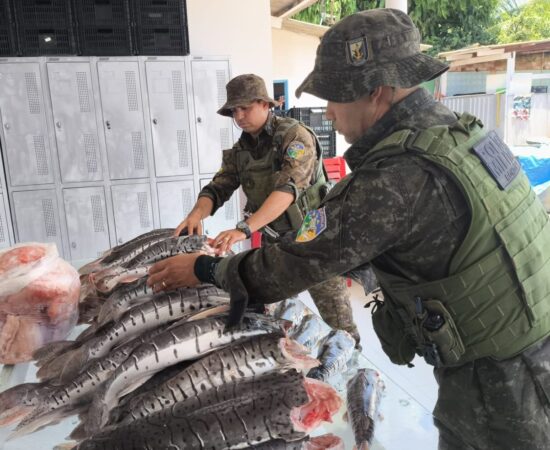Mais de 200 kg de pescado irregular em Porto Velho é destinado ao Hospital do Amor