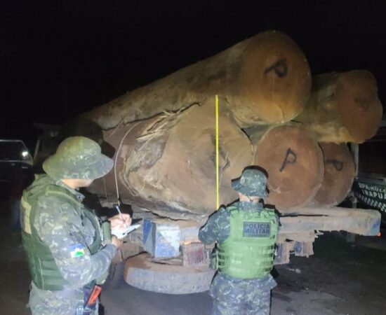 MAIS DE 160 M³ DE MADEIRA APREENDIDOS EM OPERAÇÃO PROTETOR DOS BIOMAS EM RONDÔNIA