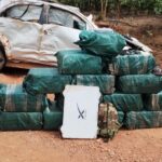 600 Kg de droga apreendidos na Zona da Mata