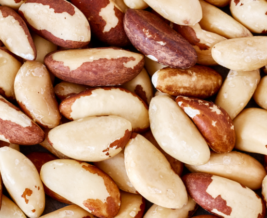 Abertura de mercado para castanha-do-Brasil para a Turquia