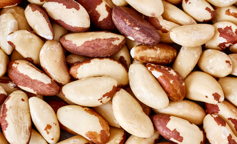 Abertura de mercado para castanha-do-Brasil para a Turquia