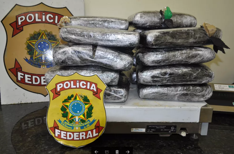 PF apreende mais de 26 quilos de skunk em dois dias no aeroporto de Porto Velho