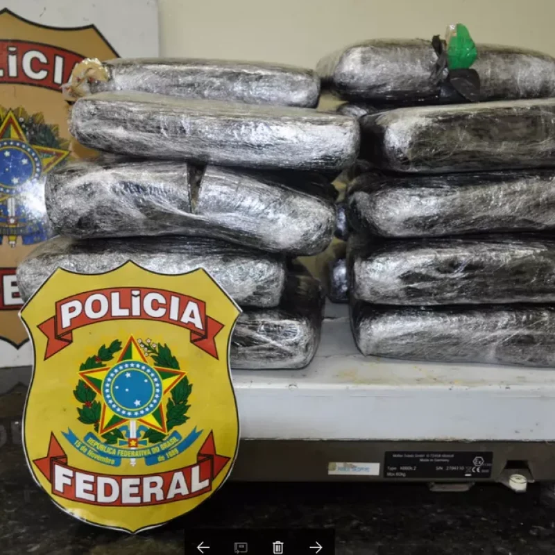 PF apreende mais de 26 quilos de skunk em dois dias no aeroporto de Porto Velho